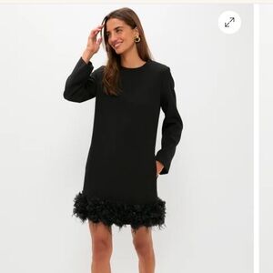 NWT Tuckernuck Organza Black Long Sleeve Dress with Feather Hem